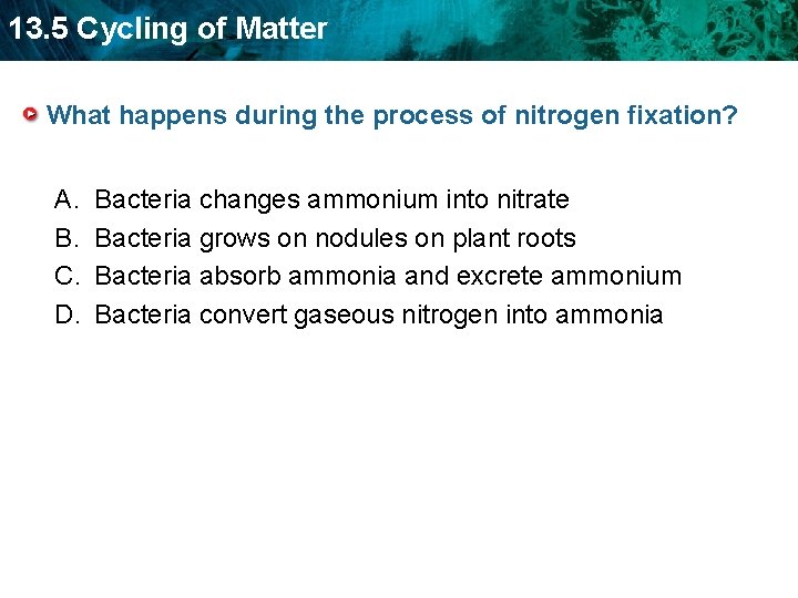 13. 5 Cycling of Matter What happens during the process of nitrogen fixation? A.