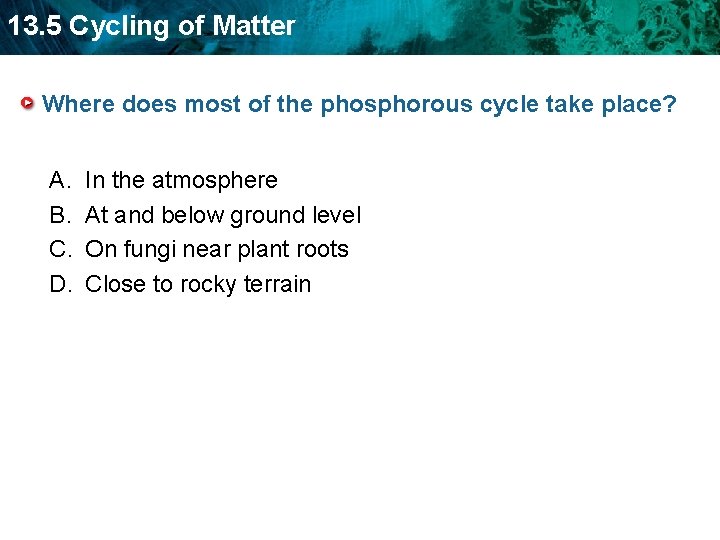 13. 5 Cycling of Matter Where does most of the phosphorous cycle take place?