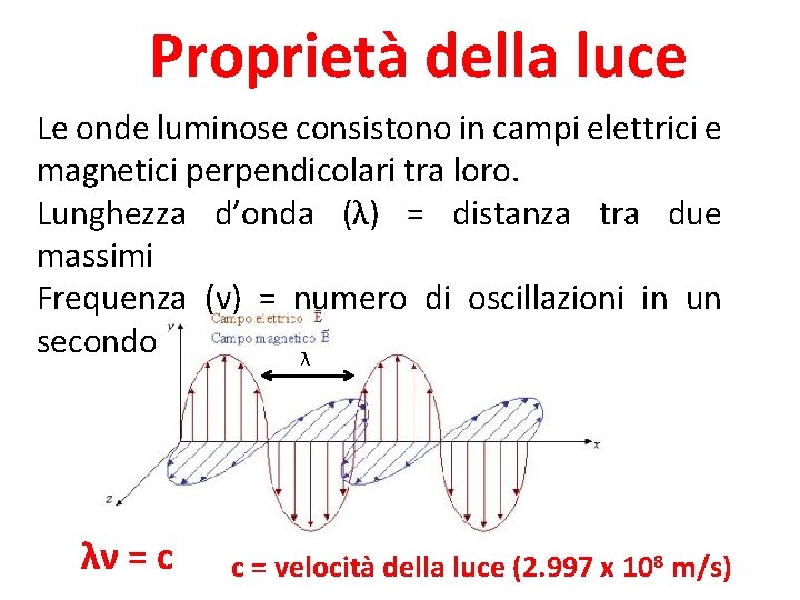 Proprietà della luce Le onde luminose consistono in campi elettrici e magnetici perpendicolari tra