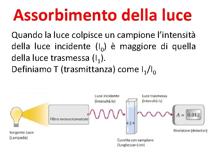 Assorbimento della luce Quando la luce colpisce un campione l’intensità della luce incidente (I