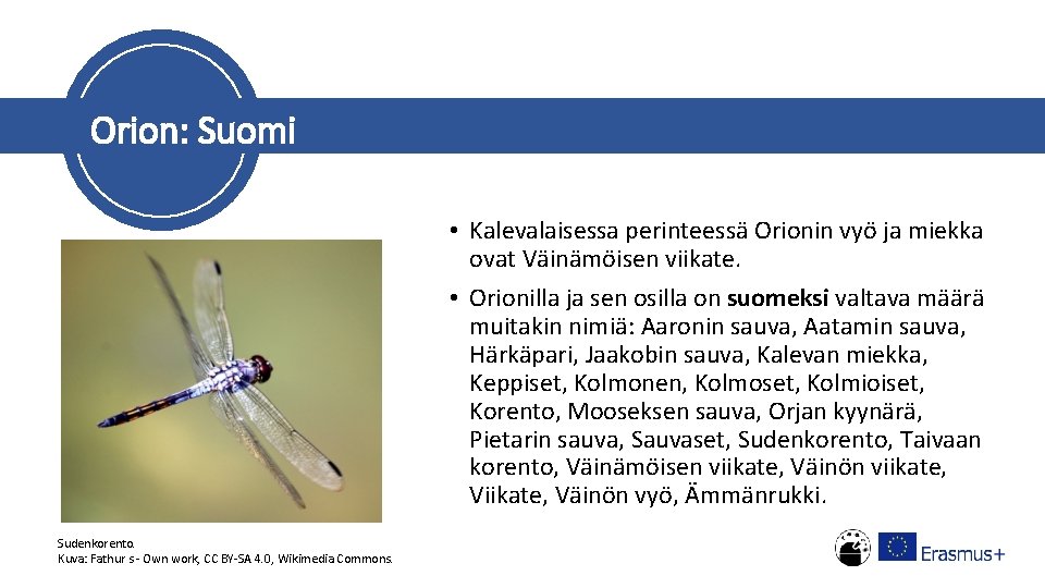 Orion: Suomi • Kalevalaisessa perinteessä Orionin vyö ja miekka ovat Väinämöisen viikate. • Orionilla