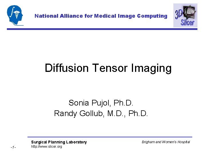National Alliance for Medical Image Computing Diffusion Tensor Imaging Sonia Pujol, Ph. D. Randy