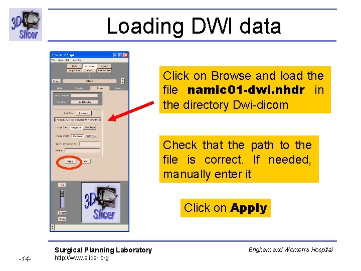 Loading DWI data Click on Browse and load the file namic 01 -dwi. nhdr