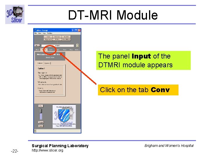 DT-MRI Module The panel Input of the DTMRI module appears Click on the tab