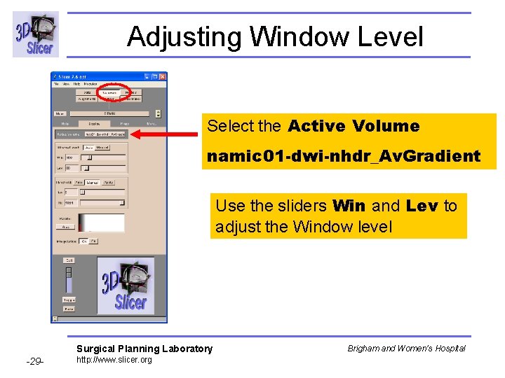 Adjusting Window Level Select the Active Volume namic 01 -dwi-nhdr_Av. Gradient Use the sliders