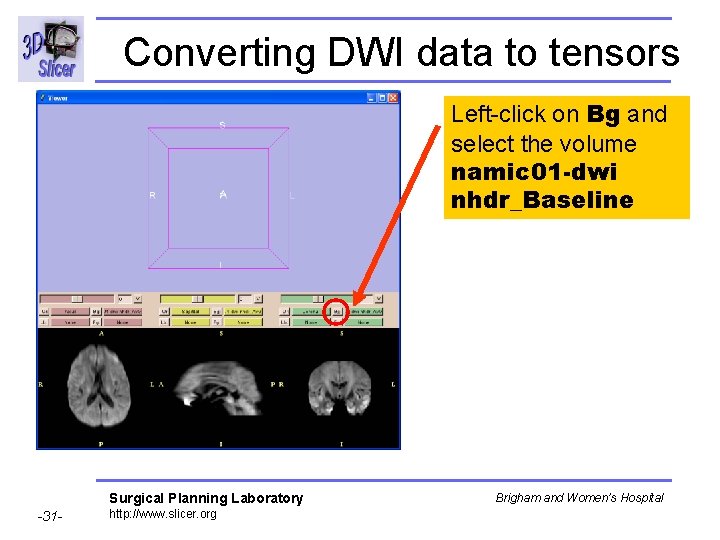 Converting DWI data to tensors Left-click on Bg and select the volume namic 01