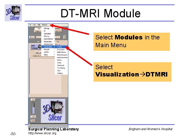 DT-MRI Module Select Modules in the Main Menu Select Visualization DTMRI Surgical Planning Laboratory