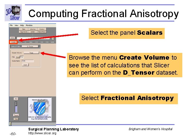 Computing Fractional Anisotropy Select the panel Scalars Browse the menu Create Volume to see
