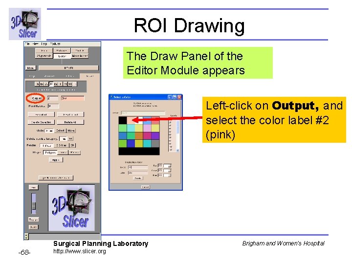 ROI Drawing The Draw Panel of the Editor Module appears Left-click on Output, and