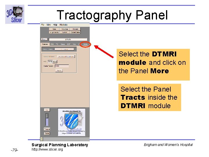 Tractography Panel Select the DTMRI module and click on the Panel More Select the