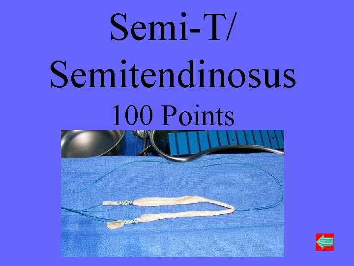 Semi-T/ Semitendinosus 100 Points 