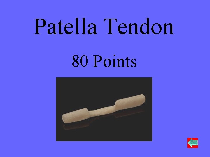 Patella Tendon 80 Points 