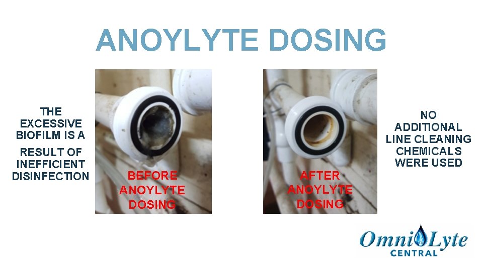 ANOYLYTE DOSING THE EXCESSIVE BIOFILM IS A RESULT OF INEFFICIENT DISINFECTION BEFORE ANOYLYTE DOSING