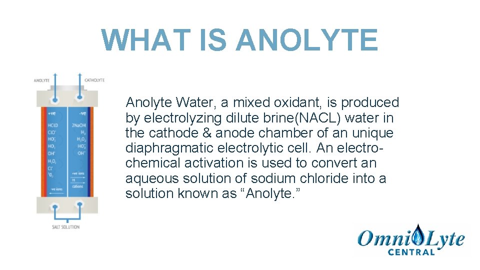WHAT IS ANOLYTE Anolyte Water, a mixed oxidant, is produced by electrolyzing dilute brine(NACL)