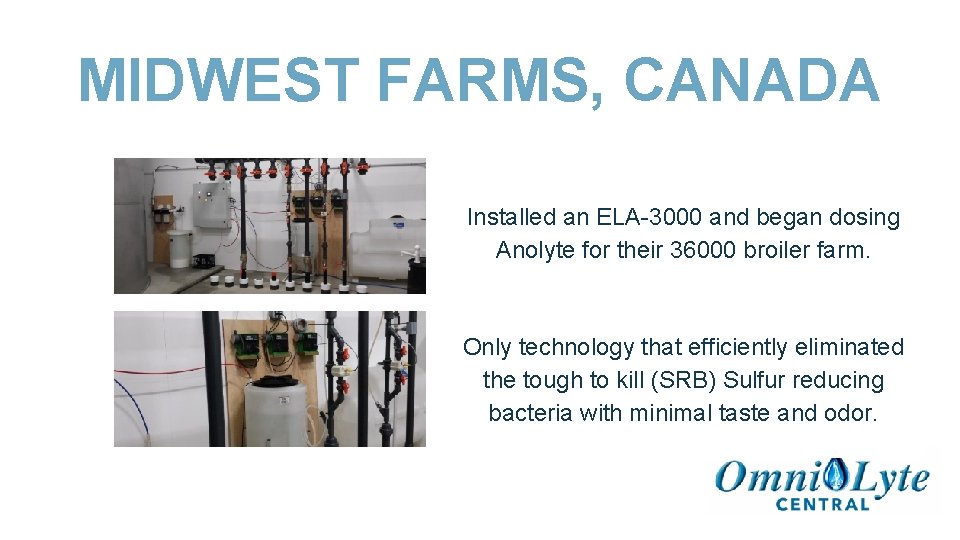 MIDWEST FARMS, CANADA Installed an ELA-3000 and began dosing Anolyte for their 36000 broiler