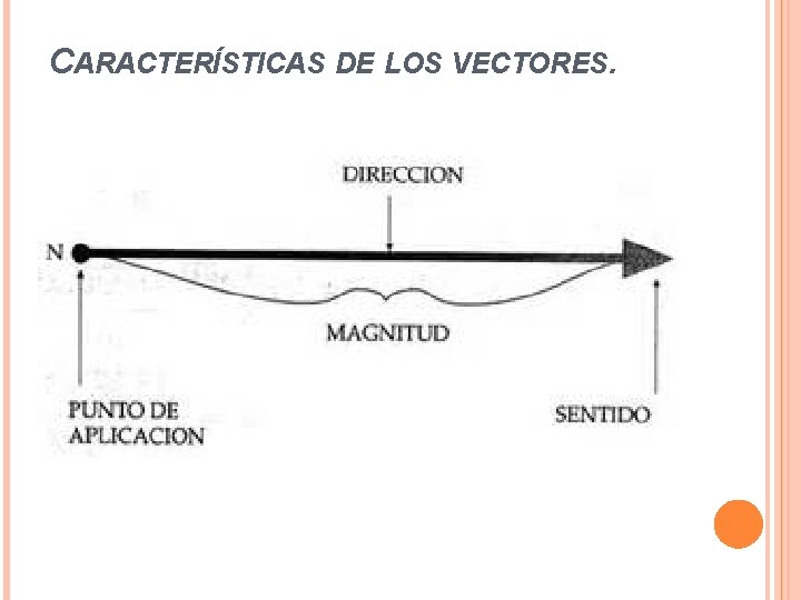 CARACTERÍSTICAS DE LOS VECTORES. 