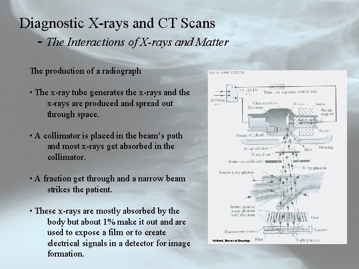 Diagnostic X-rays and CT Scans - The Interactions of X-rays and Matter The production