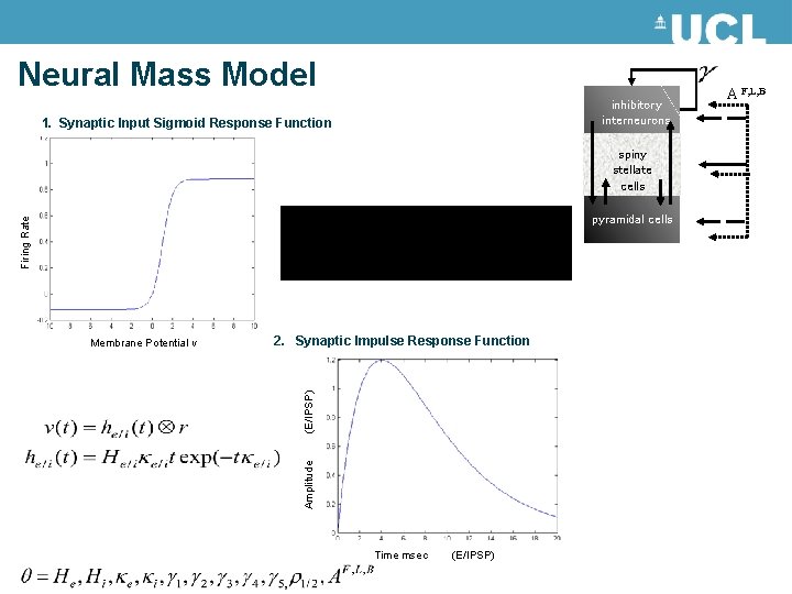 Neural Mass Model inhibitory interneurons 1. Synaptic Input Sigmoid Response Function spiny stellate cells