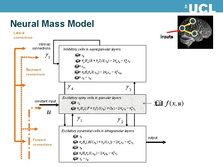 Neural Mass Model Lateral connections inputs Intrinsic connections g 5 Inhibitory cells in supragranular