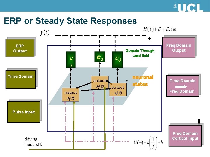 ERP or Steady State Responses + ERP Output c c 2 c 3 Outputs