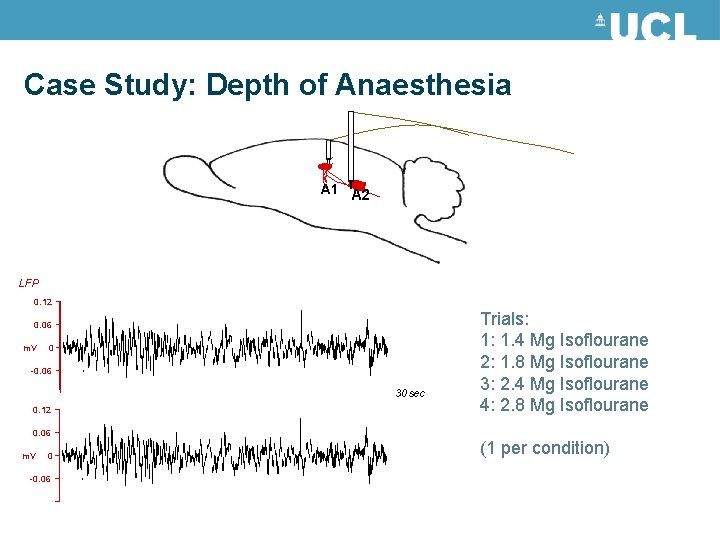 Case Study: Depth of Anaesthesia A 1 A 2 LFP 0. 12 0. 06