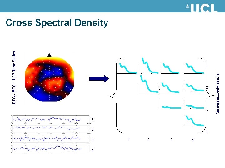 EEG - MEG – LFP Time Series Cross Spectral Density 1 3 1 2