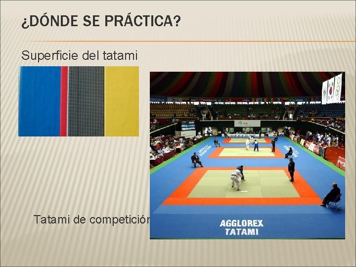 ¿DÓNDE SE PRÁCTICA? Superficie del tatami Tatami de competición 