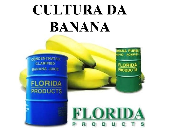 CULTURA DA BANANA 