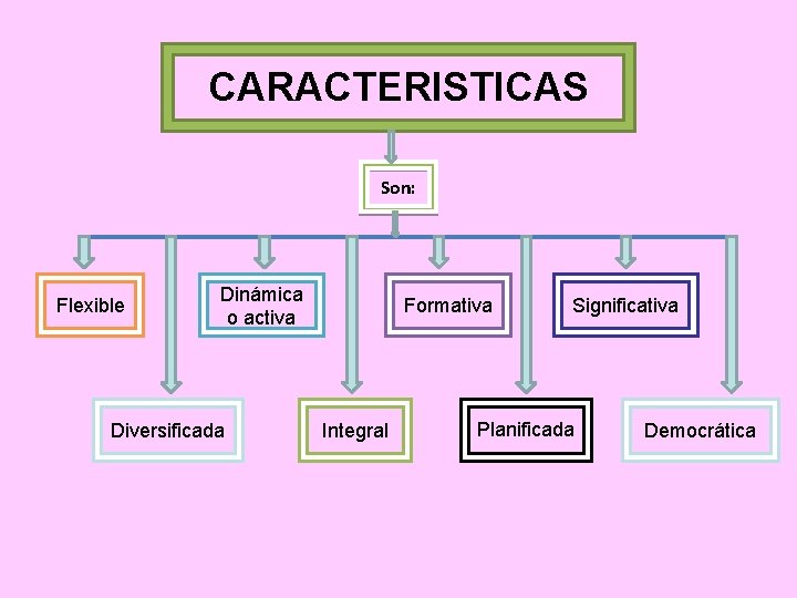 CARACTERISTICAS Son: Flexible Dinámica o activa Diversificada Formativa Integral Significativa Planificada Democrática 