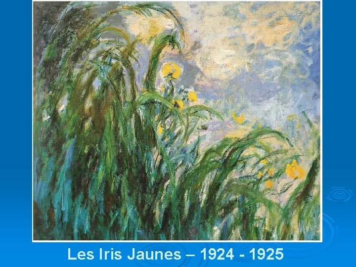 Les Iris Jaunes – 1924 - 1925 