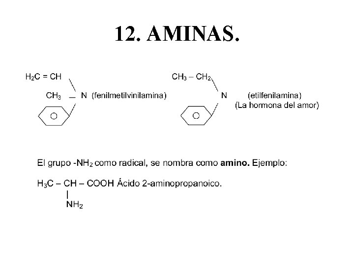 12. AMINAS. 