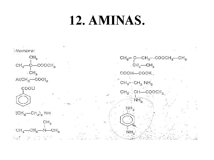 12. AMINAS. 