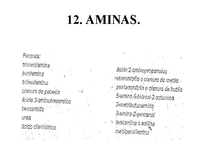 12. AMINAS. 