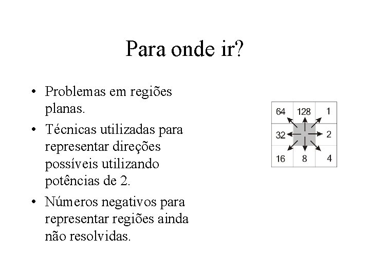 Para onde ir? • Problemas em regiões planas. • Técnicas utilizadas para representar direções Para onde ir? • Problemas em regiões planas. • Técnicas utilizadas para representar direções