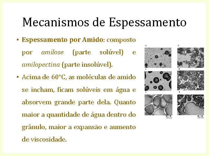 Mecanismos de Espessamento • Espessamento por Amido: composto por amilose (parte solúvel) e amilopectina