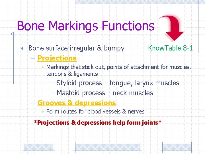 Bone Markings Functions • Bone surface irregular & bumpy Know. Table 8 -1 –