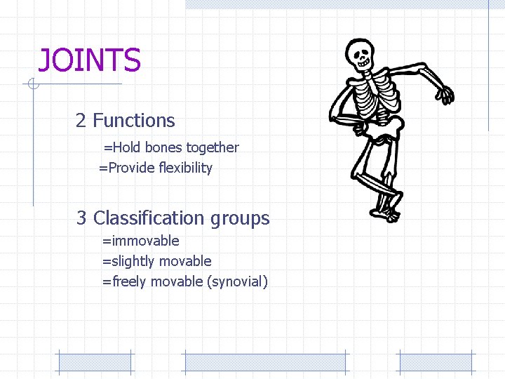 JOINTS 2 Functions =Hold bones together =Provide flexibility 3 Classification groups =immovable =slightly movable