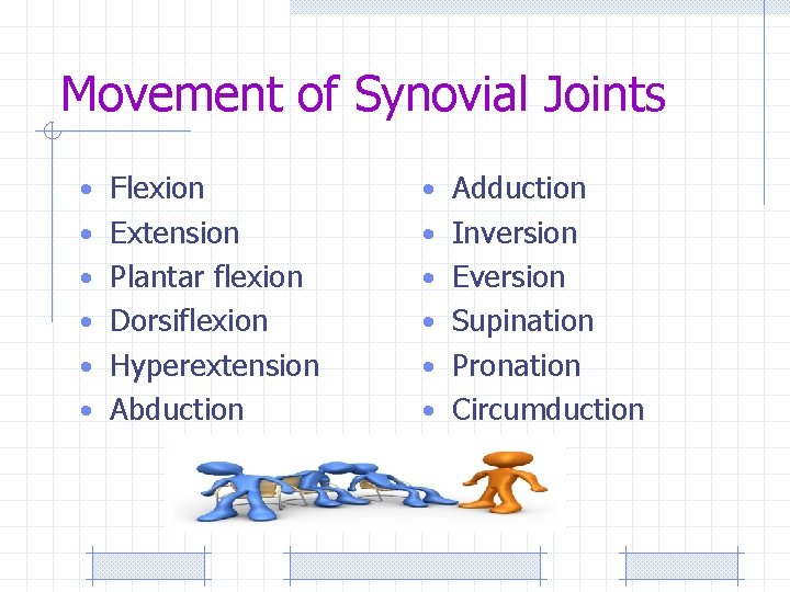 Movement of Synovial Joints • Flexion • Adduction • Extension • Inversion • Plantar