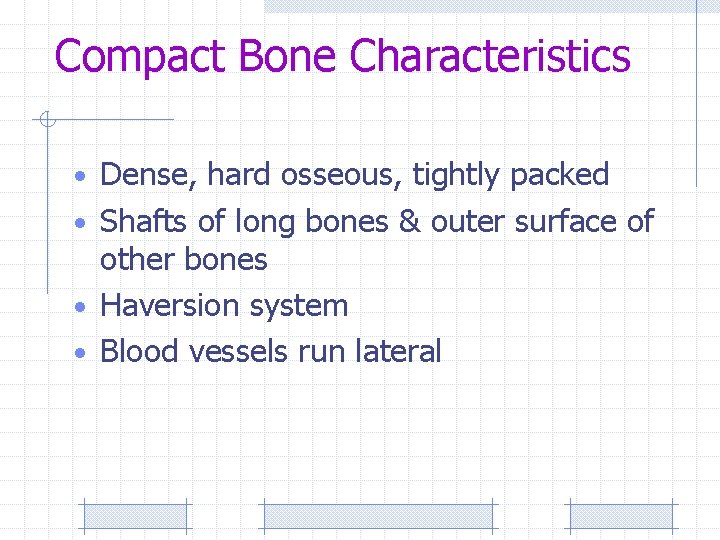 Compact Bone Characteristics • Dense, hard osseous, tightly packed • Shafts of long bones
