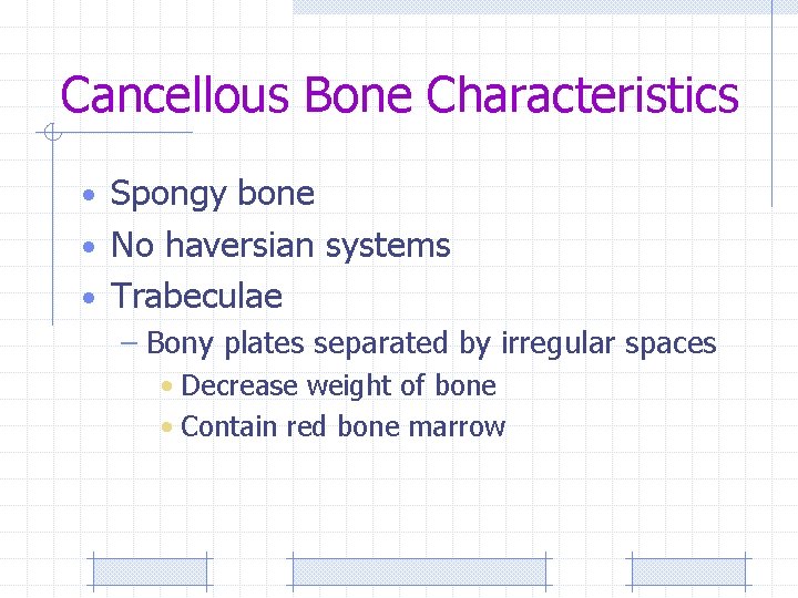 Cancellous Bone Characteristics • Spongy bone • No haversian systems • Trabeculae – Bony