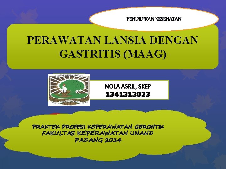 PENDIDIKAN KESEHATAN PERAWATAN LANSIA DENGAN GASTRITIS (MAAG) NOLA ASRIL, SKEP 1341313023 PRAKTEK PROFESI KEPERAWATAN