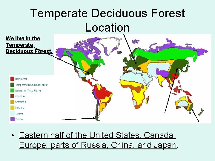 Temperate Deciduous Forest Location We live in the Temperate Deciduous Forest. • Eastern half
