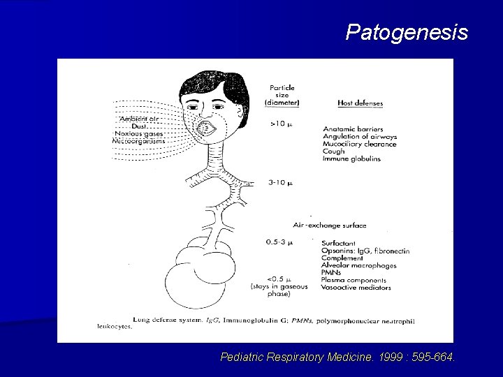 Patogenesis Pediatric Respiratory Medicine. 1999 : 595 -664. 
