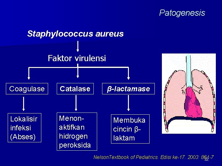 Patogenesis Staphylococcus aureus Faktor virulensi Coagulase Catalase β-lactamase Lokalisir infeksi (Abses) Menonaktifkan hidrogen peroksida
