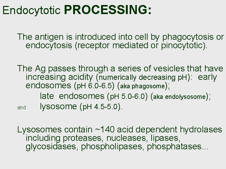 Endocytotic PROCESSING: The antigen is introduced into cell by phagocytosis or endocytosis (receptor mediated