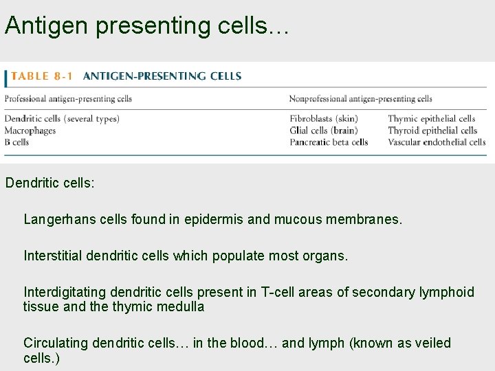 Antigen presenting cells… Dendritic cells: Langerhans cells found in epidermis and mucous membranes. Interstitial