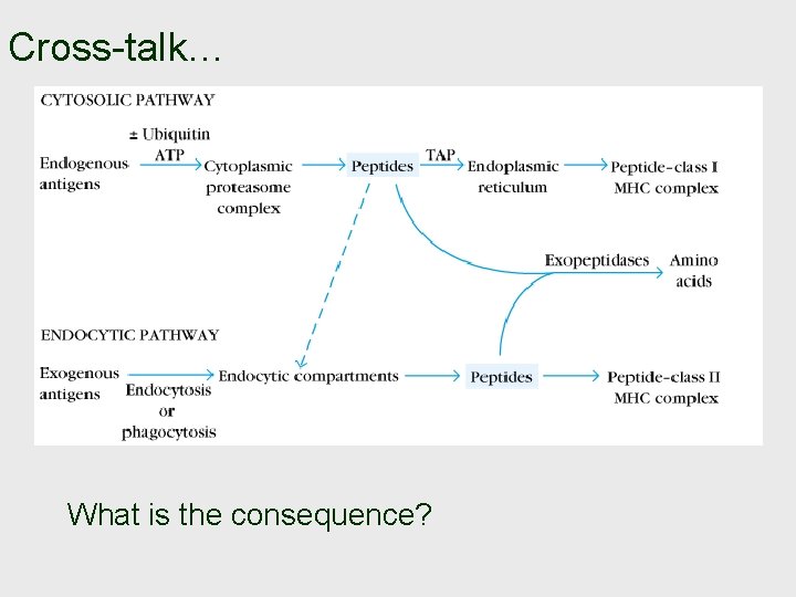 Cross-talk… What is the consequence? 