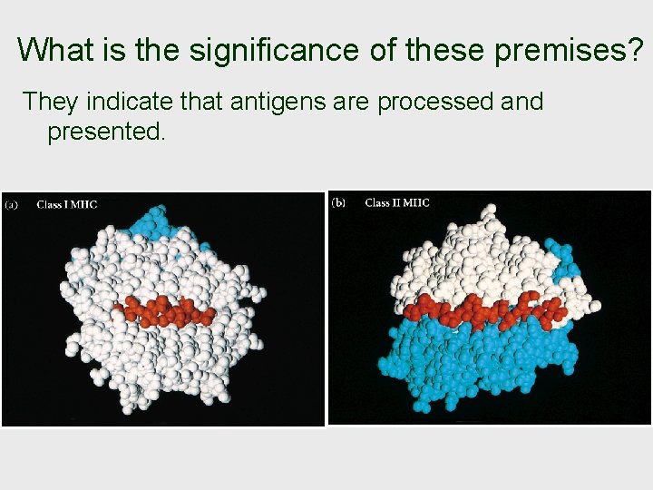 What is the significance of these premises? They indicate that antigens are processed and