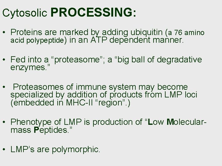 Cytosolic PROCESSING: • Proteins are marked by adding ubiquitin (a 76 amino acid polypeptide)