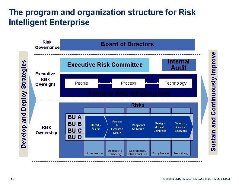 The program and organization structure for Risk Intelligent Enterprise Board of Directors Executive Risk